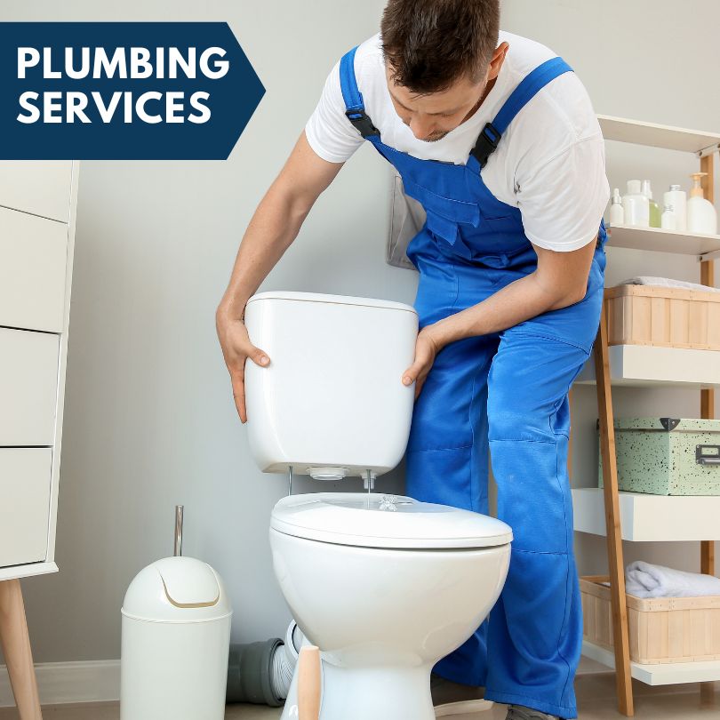 Plumbing Company in Darien, IL
